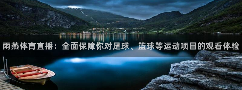雨燕体育直播：全面保障你对足球、篮球等运动项目的观看体验