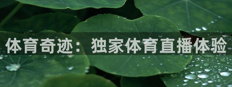 体育奇迹：独家体育直播体验