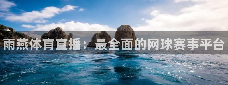 雨燕体育直播：最全面的网球赛事平台