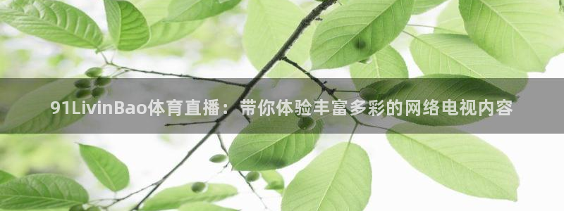 91LivinBao体育直播：带你体验丰富多彩的网络电视内容