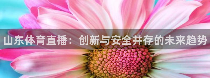 山东体育直播：创新与安全并存的未来趋势